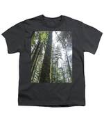 Majestic Forest Canopy In Olympic National Park Youth T-Shirt