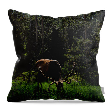 Wildlife Throw Pillows