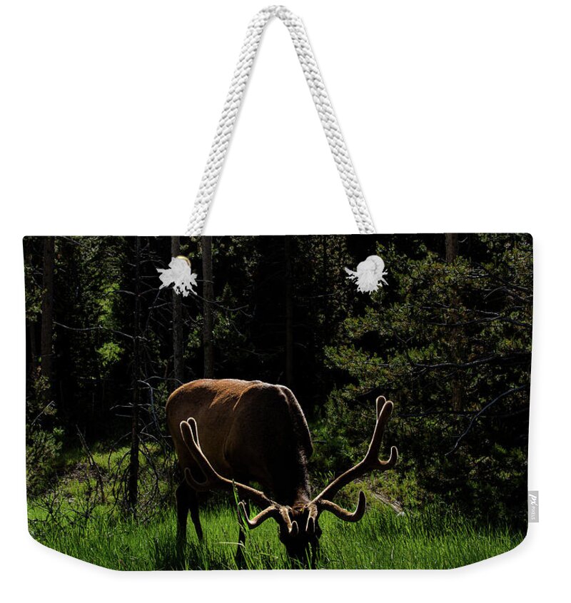 Wildlife Weekender Tote Bags