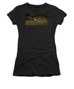 Fox Resting In Sunlit Clearing Women's T-Shirt