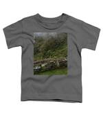 Misty Mountain Ruins Toddler T-Shirt