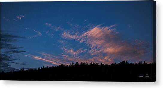 Twilight Over Forested Horizon Acrylic Print