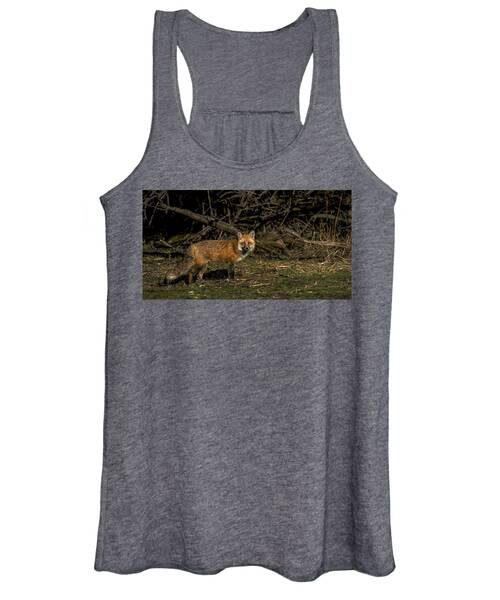 Fox In Sunlit Forest Clearing Women's Tank Top