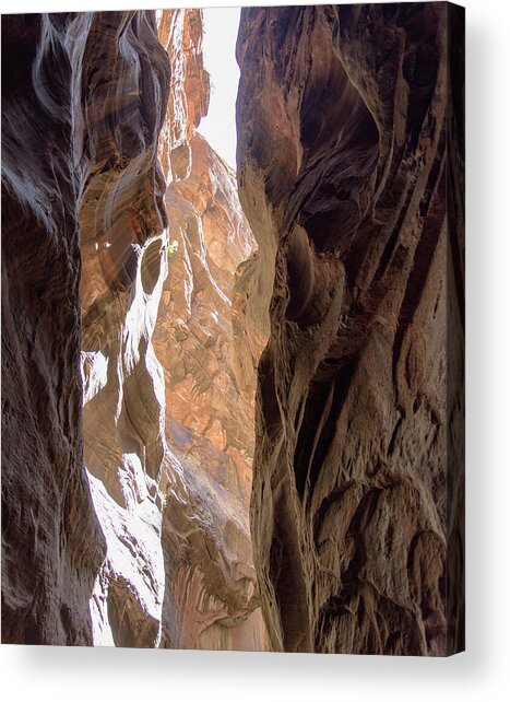 Sunlit Canyon Walls In The Narrows Acrylic Print