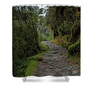 Moss-covered Path Through Lush Forest On The Inca Trail Shower Curtain