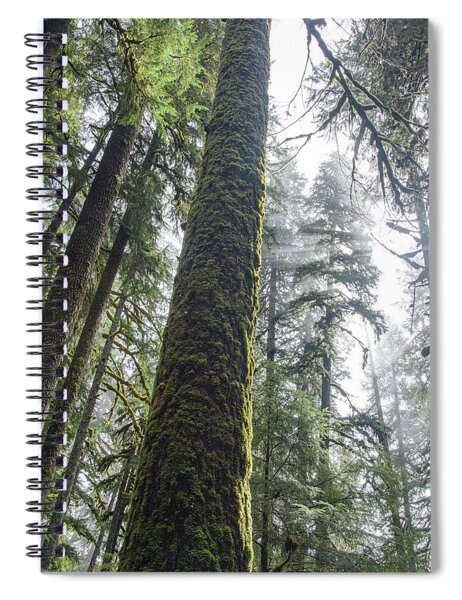 Majestic Forest Canopy In Olympic National Park Spiral Notebook