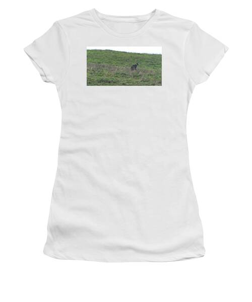 Bobcat in Grassy Field Women's T-Shirt