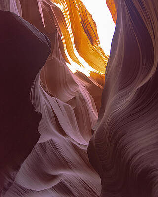 Nature Wall Art featuring the photograph Curves Of Sunlit Antelope Canyon Walls by Brandon Wichmann