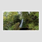 Serene Waterfall in Lush Forest Sticker