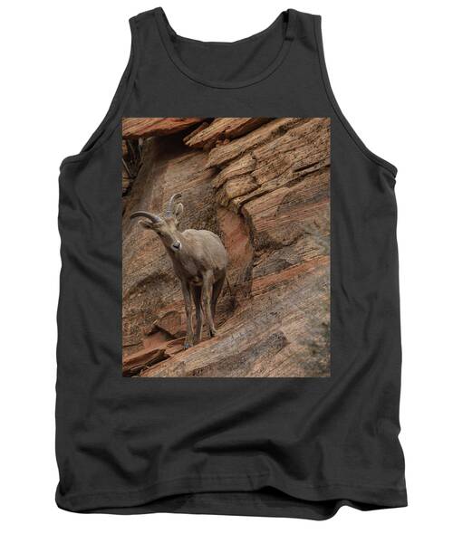 Bighorn Sheep On Rocky Terrain Tank Top