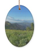 Mountain View with Wildflowers Ornament