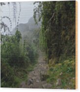 Misty Forest Pathway On The Inca Trail Wood Print