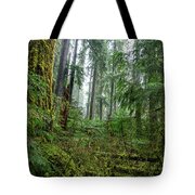 Misty Forest Silhouettes In Olympic National Park Tote Bag