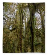 Moss-Covered Trees in a Dense Forest Fleece Blanket