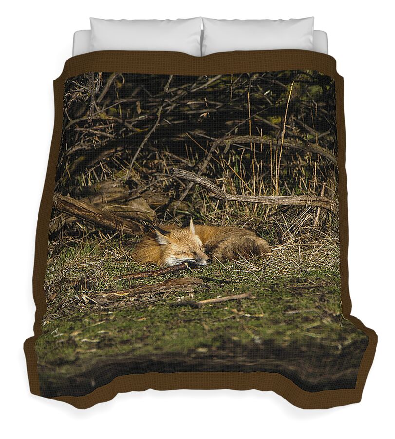Peaceful Fox in Sunlit Meadow Duvet Cover by Brandon Wichmann