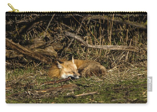 Peaceful Fox In Sunlit Meadow Zip Pouch
