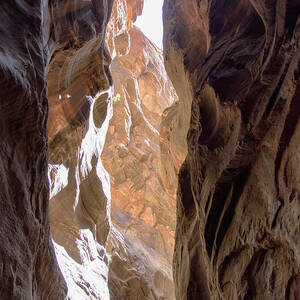 Sunlit Canyon Walls in The Narrows by Brandon Wichmann Sunlit Canyon Walls in The Narrows by Brandon Wichmann