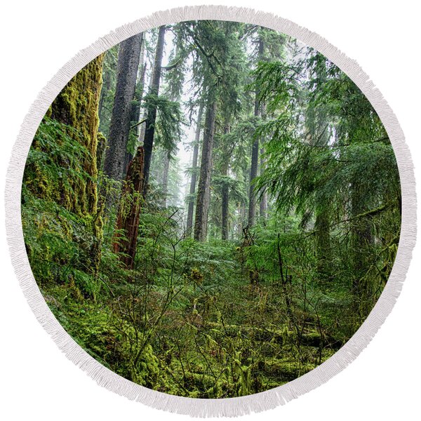 Misty Forest Silhouettes In Olympic National Park Round Beach Towel