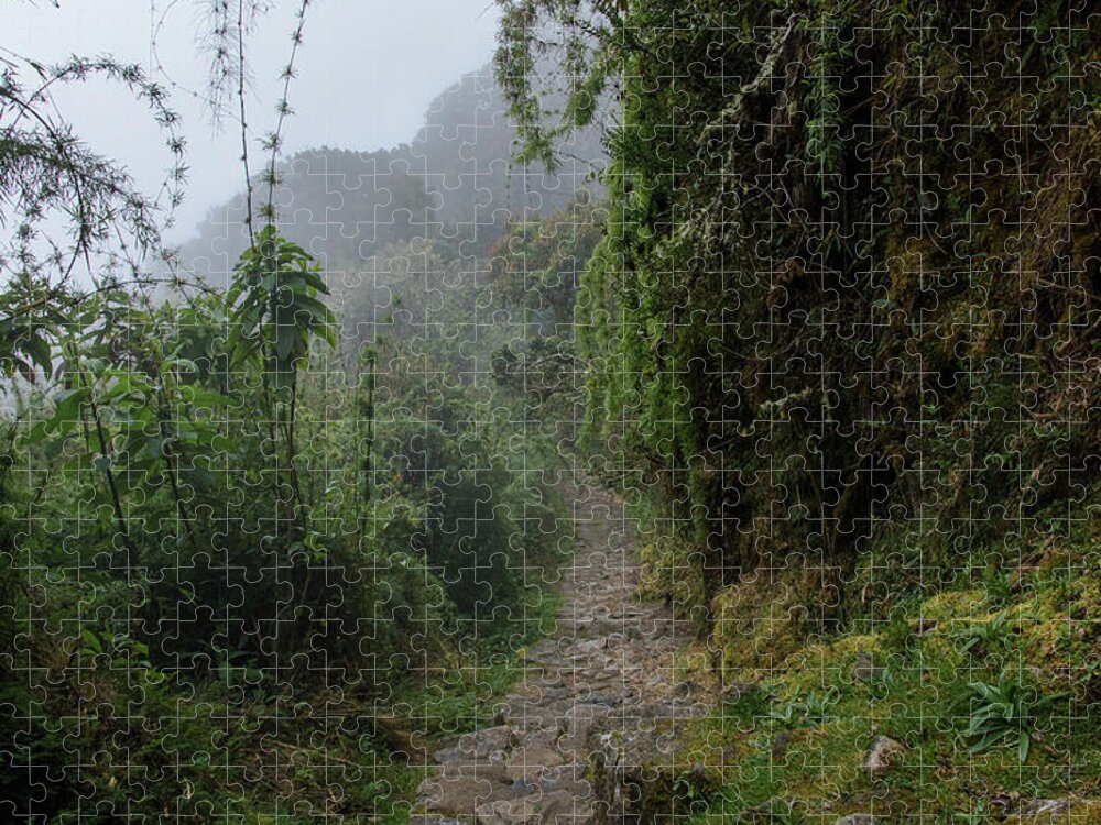 Misty Forest Pathway On The Inca Trail Jigsaw Puzzle