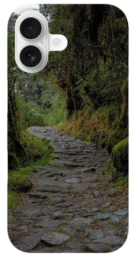 Moss-covered Path Through Lush Forest On The Inca Trail iPhone Case