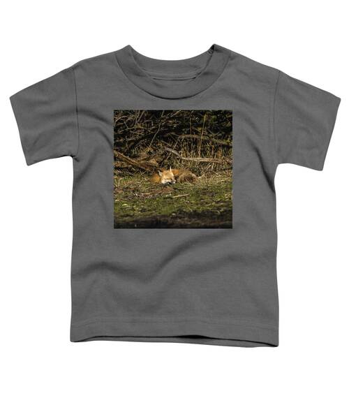 Peaceful Fox in Sunlit Meadow Toddler T-Shirt by Brandon Wichmann