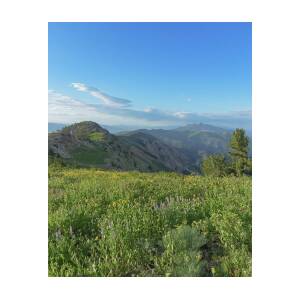 Mountain View with Wildflowers by Brandon Wichmann