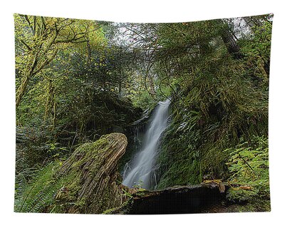 Shop for Serene Tapestries