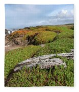 Coastal Landscape with Driftwood Fleece Blanket