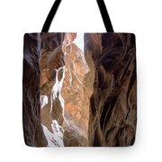 Sunlit Canyon Walls In The Narrows Tote Bag