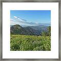 Mountain View with Wildflowers Framed Print