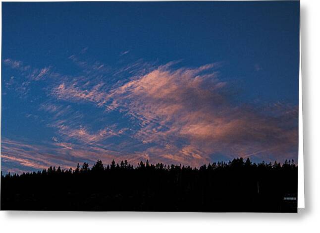 Twilight Over Forested Horizon Greeting Card