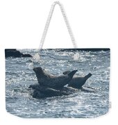 Seals Resting On Rocky Shoreline Weekender Tote Bag