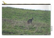 Bobcat in Point Reyes Zip Pouch by Brandon Wichmann