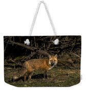 Fox In Sunlit Forest Clearing Weekender Tote Bag
