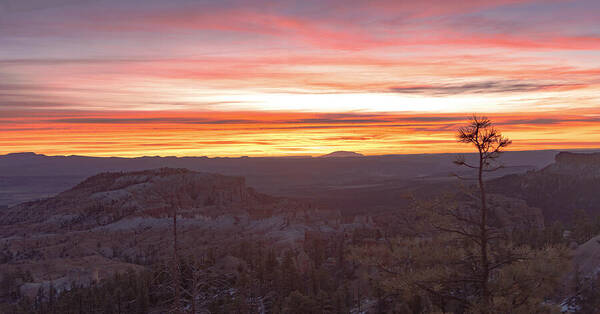 Serene Mountain Sunrise In Bryce Canyon National Park Poster