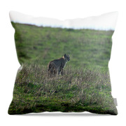 Bobcat in Grassy Field Throw Pillow