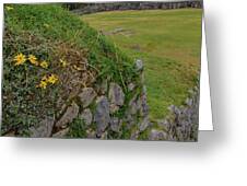 Saqsaywaman In Cusco Peru Greeting Card