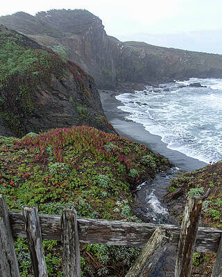 California Photograph - Rocky Coastline With Vibrant Foliage by Brandon Wichmann