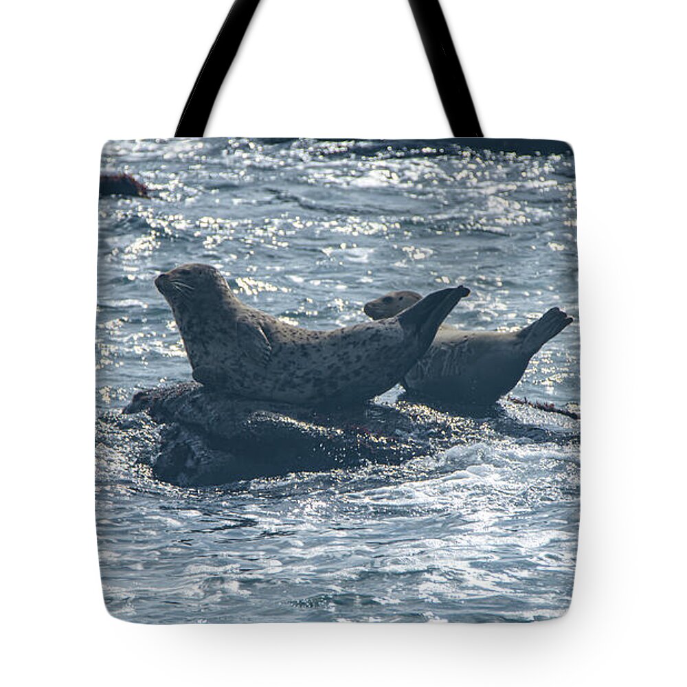 Seals Resting On Rocky Shoreline Tote Bag