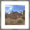 Desert Cliffs In Capitol Reef National Park Framed Print