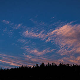 Twilight Over Forested Horizon by Brandon Wichmann