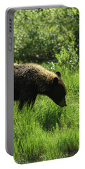 Solitary Bear In Grand Teton National Park Portable Battery Charger