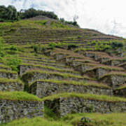 Ancient Terraces Amidst Greenery Poster