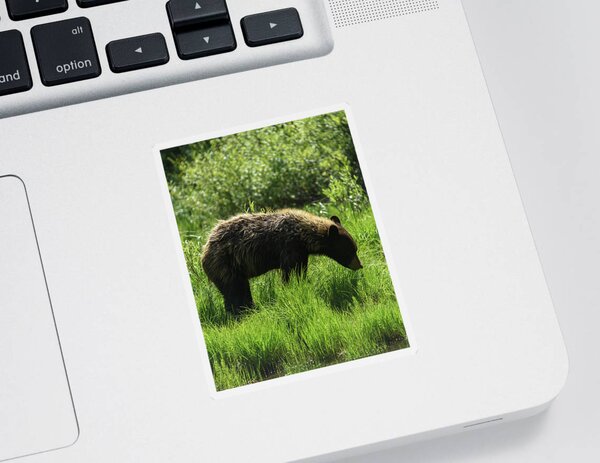 Grand Teton National Park Stickers