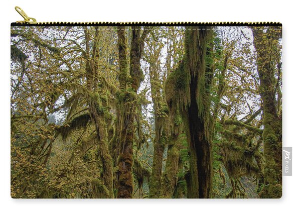 Moss-Covered Trees in a Dense Forest Zip Pouch