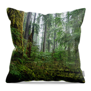 Misty Forest Silhouettes In Olympic National Park Throw Pillow