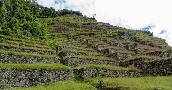Ancient Terraces Amidst Greenery Poster