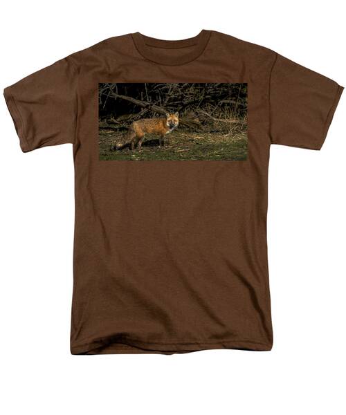 Fox In Sunlit Forest Clearing Men's T-Shirt  (Regular Fit)