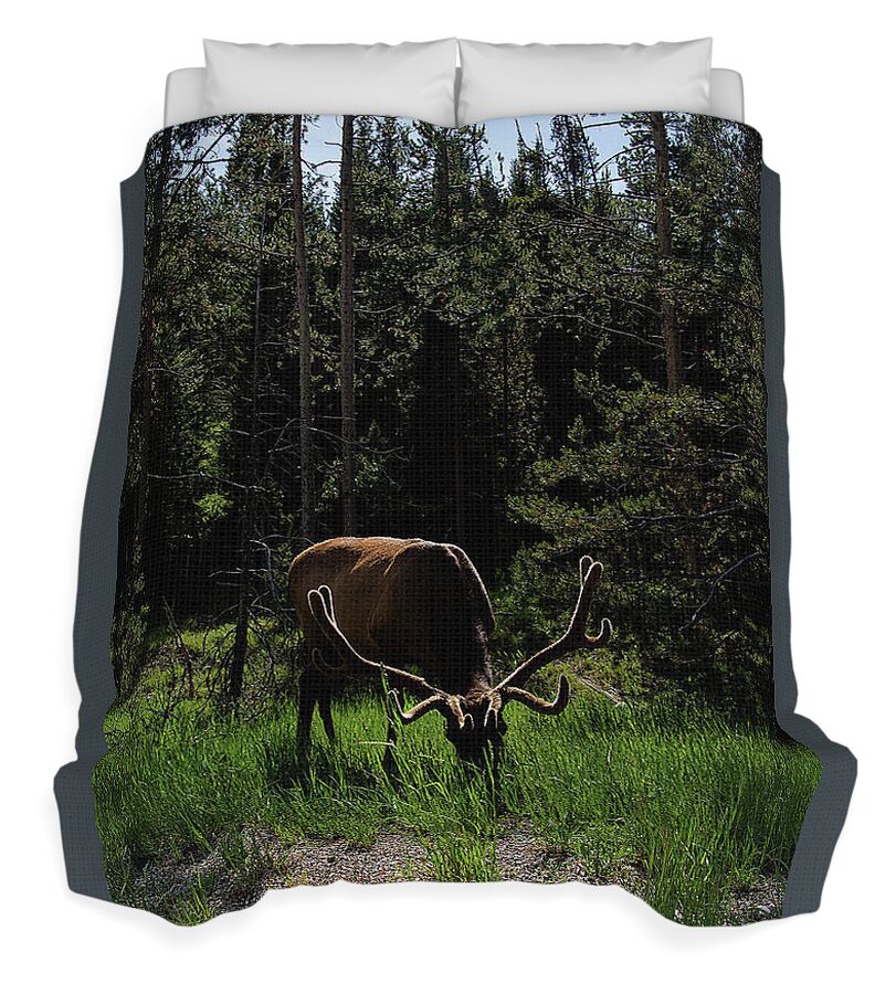 Wildlife Duvet Covers