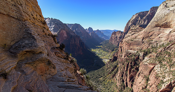 Zion National Park Photographs
